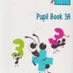 Collins Busy Ant Maths Activity Bk 3A