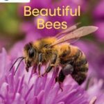 Schofield My Letters and Sounds Beautiful Bees