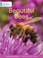 Schofield My Letters and Sounds Beautiful Bees