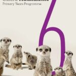 Oxford PYP Mathematics Student Book 6