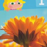 Science Bug Pupil Book 1