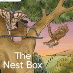 Schofield My Letters and Sounds the Nest Box